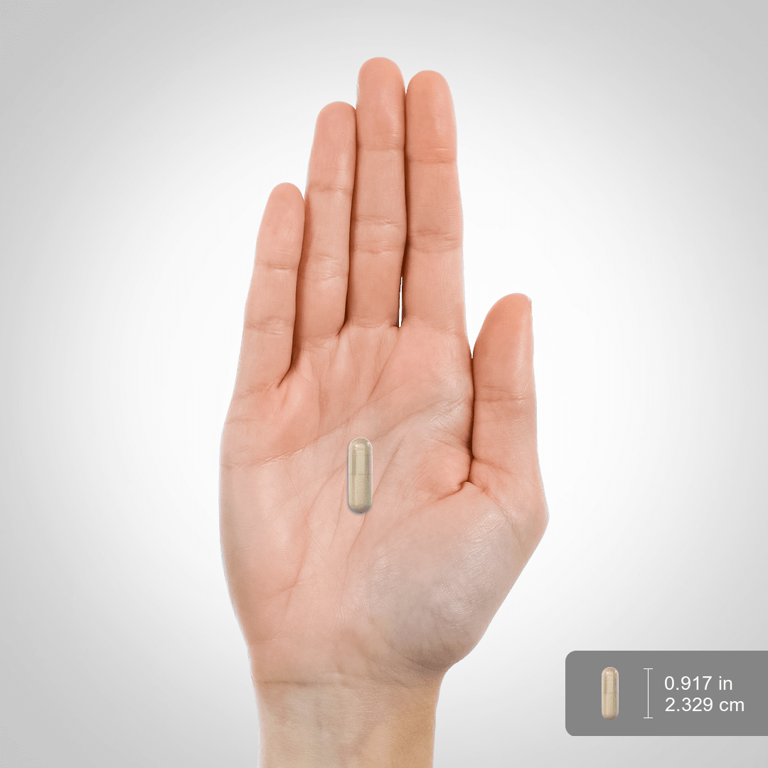 BetaPollen PLUS® Suporte à Próstata, 30 Cápsulas Vegetais