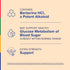 Product highlights graphic stating Berberine HCl, a Potent Alkaloid, Supports Healthy Glucose Metabolism & Blood Sugar (within normal range)*, Extra Strength Support