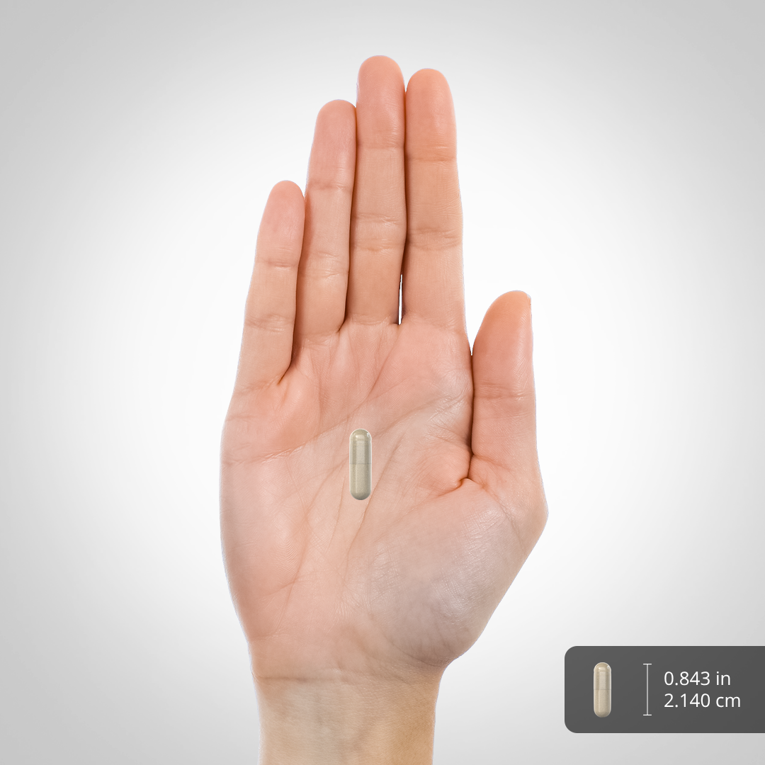 A hand holds a light beige capsule measuring 0.843 in (2.140 cm).