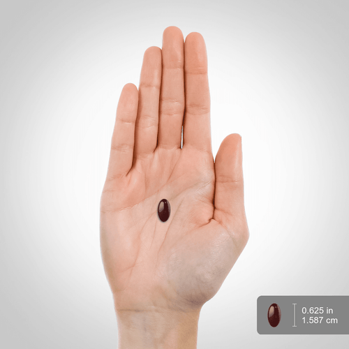 View 2 A dark red oval softgel rests on a palm, measuring 0.625 inches (1.587 cm).