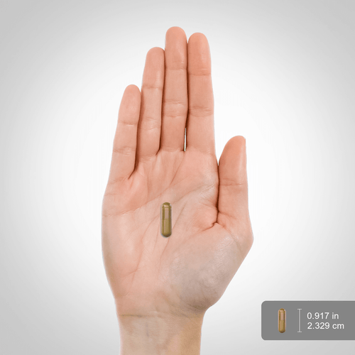 View 2 A single capsule measures precisely 0.917 inches (2.329 cm) for scale, as shown alongside a hand providing perspective.